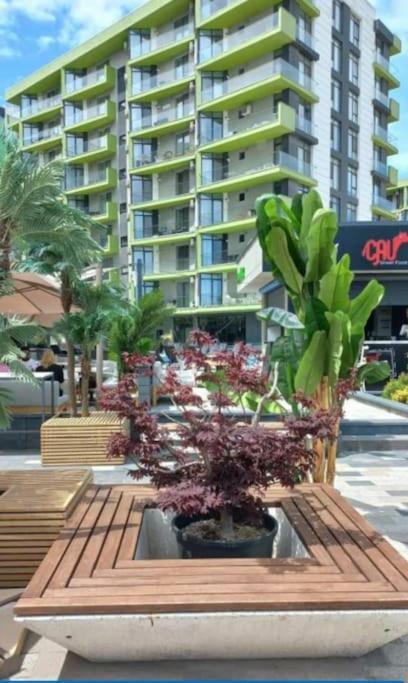 Alezzy Reasort Luxury Apartment 81 Prima Linie La Mare Năvodari 외부 사진